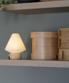 ちょうちん堂 【月白】UROKO 鱗 ちょうちん ライト