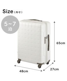 ACE BAGS & LUGGAGE Proteca 360G4 スーツケース 日本製 71L 02423 プロテカ