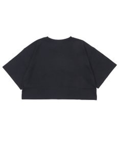 WEGO 【SMサイズ展開】ロゴショートT