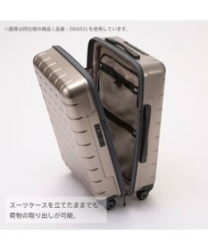ACE BAGS & LUGGAGE Proteca 360G4 メタリック2 スーツケース 100L Lサイズ 08604 プロテカ