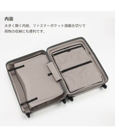 ACE BAGS & LUGGAGE Proteca 360G4 メタリック2 スーツケース 100L Lサイズ 08604 プロテカ