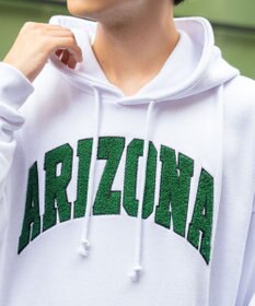 WEGO ヘビーウエイトサガラカレッジプルパーカー