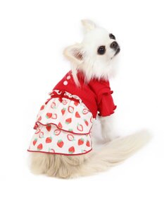 PET PARADISE 犬の服 犬 ワンピース 【小型犬】 苺柄 リブ ピンク レッド