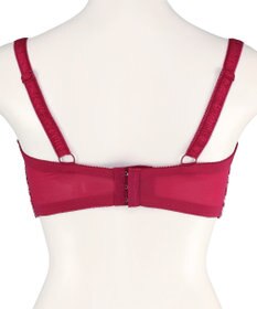 San-ai Resort（三愛水着楽園） エレガントコレクション【2409】単品ブラHIカップ 【northerly】