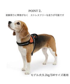 PET PARADISE ヘッドインハーネス  【ＳＭ】 オレンジ / ブルー 【中型犬】