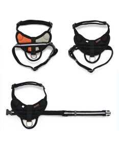 PET PARADISE ヘッドインハーネス  【ＳＭ】 オレンジ / ブルー 【中型犬】