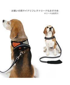 PET PARADISE ヘッドインハーネス  【ＳＭ】 オレンジ / ブルー 【中型犬】