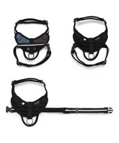 PET PARADISE ヘッドインハーネス  【ＳＭ】 オレンジ / ブルー 【中型犬】