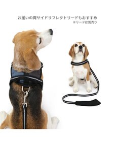 PET PARADISE ヘッドインハーネス  【ＳＭ】 オレンジ / ブルー 【中型犬】