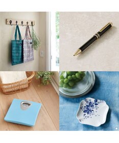 antina gift studio 沙羅(さら) e-order choice(カードカタログ) ＜梅(うめ)＞