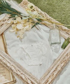 San-ai Resort（三愛水着楽園） エレガントコレクション2404ノーマルショーツ  【northerly】