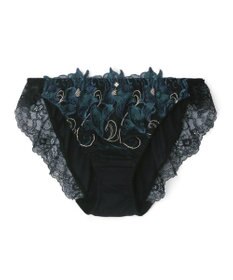 San-ai Resort（三愛水着楽園） エレガントコレクション2311ノーマルショーツ  【LLサイズ】【northerly】