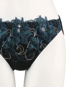 San-ai Resort（三愛水着楽園） エレガントコレクション2311ノーマルショーツ  【LLサイズ】【northerly】