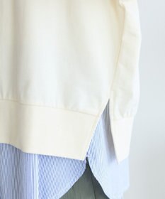 Green Parks アソートカレッジロゴ裏毛プルオーバー