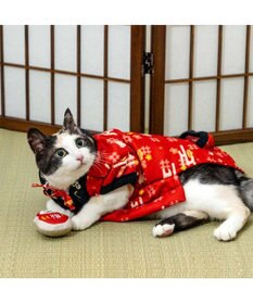 PET PARADISE ペットパラダイス 半纏《千鳥柄》 中型犬 大型犬