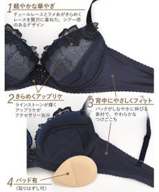 Wing Wing Lesiage　【2720シリーズ】ブラジャー　シアー感のあるラグジュアリーなデザイン　ウイング／ワコール　PB2720