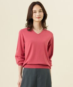 J.PRESS LADIES 【WEB限定・人気定番アイテム・シーンレスに活躍】PRINCE Vネック ニット