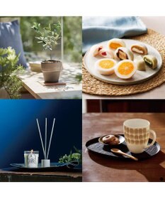 PRESENTERS ROOM Mistral(ミストラル) ギフトカタログ＜オレガノ＞