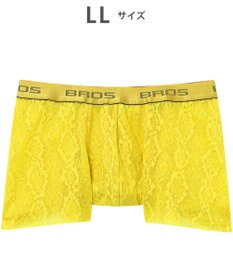 WACOAL MEN ボクサーパンツ【レースボクサー】フロント快適グラマラス 通気性 フリーなカッティング(裾部分) 前閉じ レース 下着 GT3341 /ブロス バイ ワコールメン