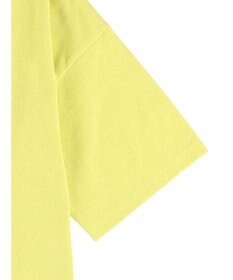 Green Parks Ｓｍｉｌｅｙ　Ｆａｃｅ／スマイルロゴＢｉｇＴシャツ