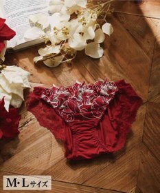 San-ai Resort（三愛水着楽園） エレガントコレクション2311ノーマルショーツ  【M・Lサイズ】【northerly】