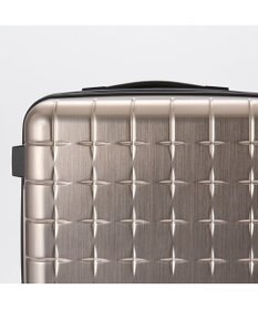 ACE BAGS & LUGGAGE Proteca 360G4 メタリック2 スーツケース 100L Lサイズ 08604 プロテカ