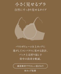 Wing ブラジャー 小さく見せるブラ Wing Lesiage 脇すっきり 背中すっきり 【2850シリーズ】 Gカップまで対応 フルカップ PB2851 ウイング／ワコール