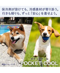 PET PARADISE ミニオン ポケットクール タンクトップ 《デイジー柄》 小型犬