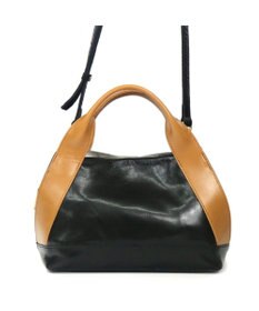 Regalo Felice 【長財布が入る / ショルダー付】2wayバッグ / REGALO