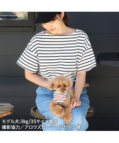 PET PARADISE Ｌｅｅ 冷感バンダナ 《ボーダー》 小型犬
