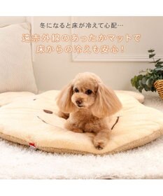 PET PARADISE ディズニー くまのプーさん にっこり マット