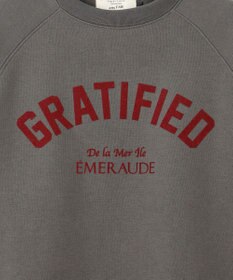 ANY L 【洗濯機可能/サスティナブル】ロゴ裏起毛クルーネックプルオーバー