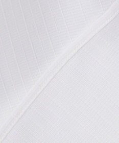 GOTAIRIKU 春夏向け【形態安定】SUMMERPREMIUMPLEATS_スナップダウン 長袖ドレスシャツ