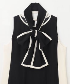 GRACE CONTINENTAL バイカラーフレームドレス