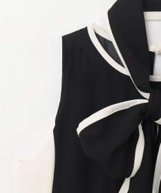 GRACE CONTINENTAL バイカラーフレームドレス