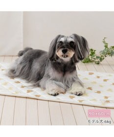 PET PARADISE ペットパラダイス くまちゃん クールマット 《mix柄》 Ｍ