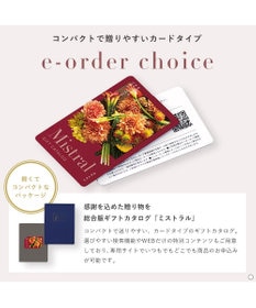 antina gift studio Mistral(ミストラル) e-order choice(カードカタログ) ＜Arnica(アルニカ)＞