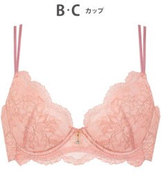 Wing Wing Lesiage 【1000シリーズ】 3/4カップブラ PB1000 ウイング／ワコール