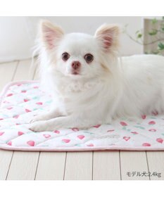 PET PARADISE ペットパラダイス クールマット 《いちご＆お花柄》 48×40㎝