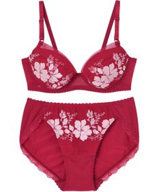 Wing WEB限定　ブラ＆ショーツセット　3/4カップブラ　ウイング／ワコール　CB3710