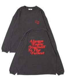 WEGO 【ユニセックス着用ITEM】アソートグラフィックT（LS）