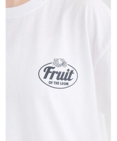 Green Parks ■　ＦＲＵＩＴ　ＯＦ　ＴＨＥ　ＬＯＯＭ　２ロゴｐｔＴＥＥ