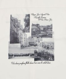 WEGO アムンゼンフォトプリントBIGシャツ（SS）