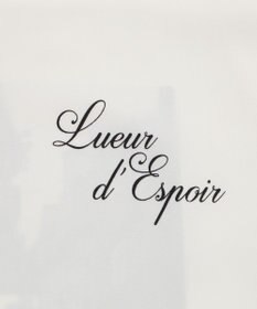 WEGO アムンゼンフォトプリントBIGシャツ（SS）