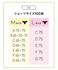 AMPHI ブラジャー ショーツセット まる胸メイク 推し活・推し事応援 Aカップあり 【ブラショーツセット】 上下セット ブラ BBJ201 アンフィ／ワコール