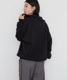 AMERICAN HOLIC ハーフＺＩＰスウェット1