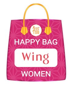 Wing 【2024年HAPPY BAG】 Wing （ブラジャーショーツセット 2セット ノンワイヤーブラ）
