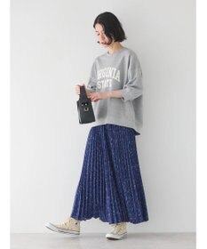 AMERICAN HOLIC ミニ裏毛ロゴスウェット2