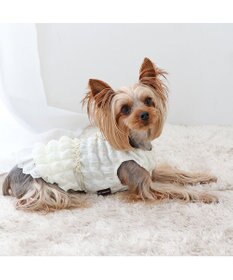 PET PARADISE ペットパラダイス ぽこぽこ ワンピース 《ホワイト》 小型犬