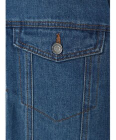 Green Parks ノーカラーデニムジャケット